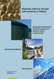 Badanie sektora energii odnawialnej w Polsce, Igliski Bartomiej