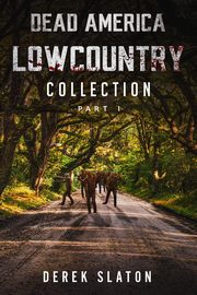 Dead America Lowcountry Collection Part 1 - Books 1 - 6, Slaton Derek