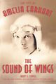 The Sound of Wings, Lovell Mary S.